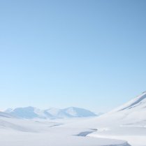 Svalbardtur 2011